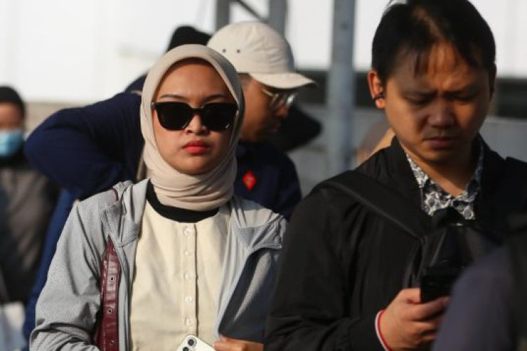 Gaji Peserta Magang Nasional Resmi Naik: Segini Besaran Uang Saku dan Aturan Terbarunya