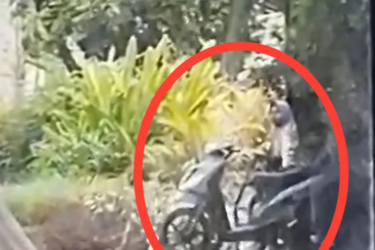 Link Video Mesum Probolinggo Durasi 19 Detik Telegram, Panas! Isinya Bikin Tegang yang Nonton