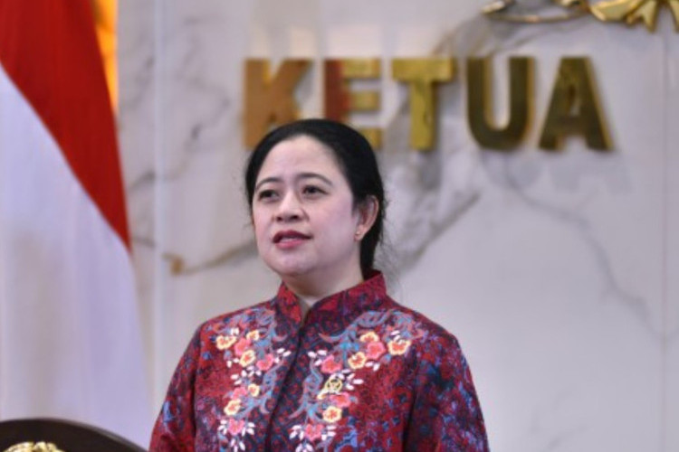 Puan Desak Pelaku Karhutla Ditindak Tegas, Soroti Dampak Kerugian yang Meluas