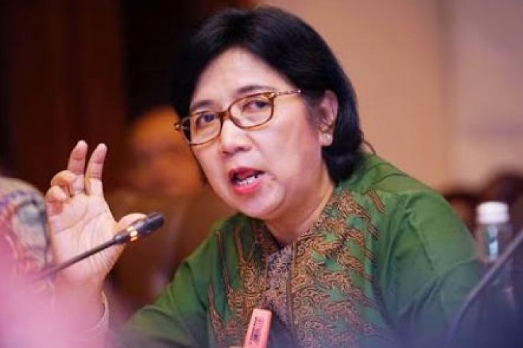 Destry Damayanti: Calon Gubernur Bank Indonesia Menuju Fit and Proper Test Pengganti Perry Warjiyo