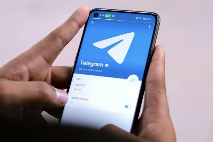 Link Masuk Grup Telegram Doodstream Sesuai Gambar Gratis Tanpa Harus Bayar, Streaming Online Ribuan Video Kualitas HD