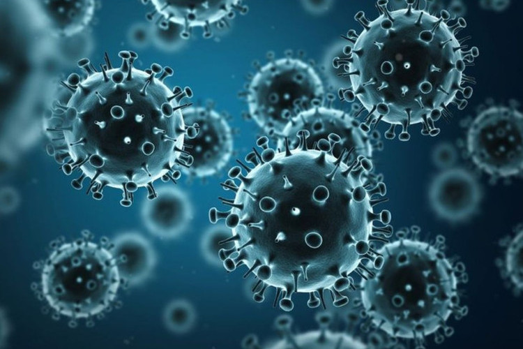 Apa Itu Virus Zika? Waspada! Kenali Gejala hingga Cara Pencegahannya!