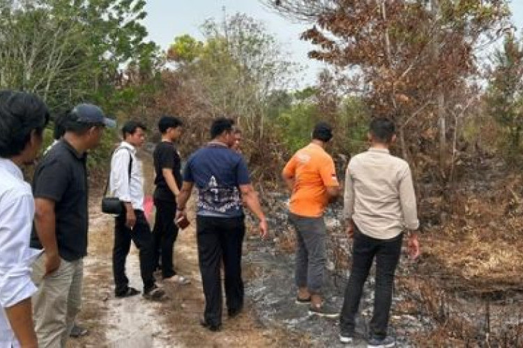 Bareskrim Polri Tangani 341 Kasus Karhutla, 196 Orang Resmi Ditetapkan Sebagai Tersangka