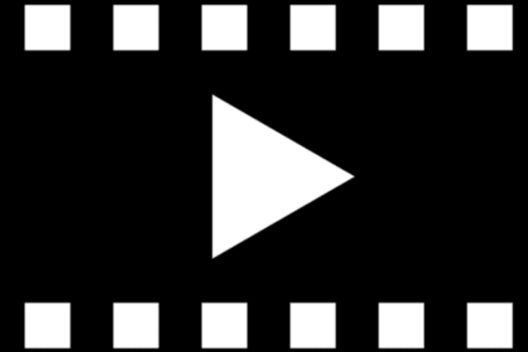 Link para Download do Vídeo Viral Mulher Trans Mata Ex-namorada Portal Zacarias Full HD sem Censura