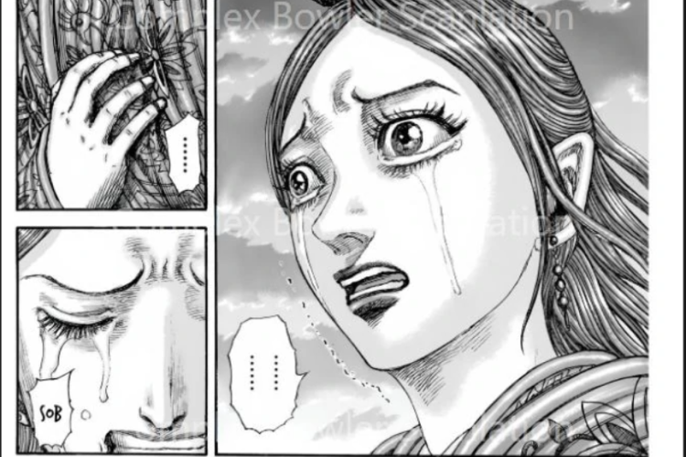 Spoilers et Lire le Manga Kingdom Chapitre 843 Scan VF, Shin, fonce sans hésiter !