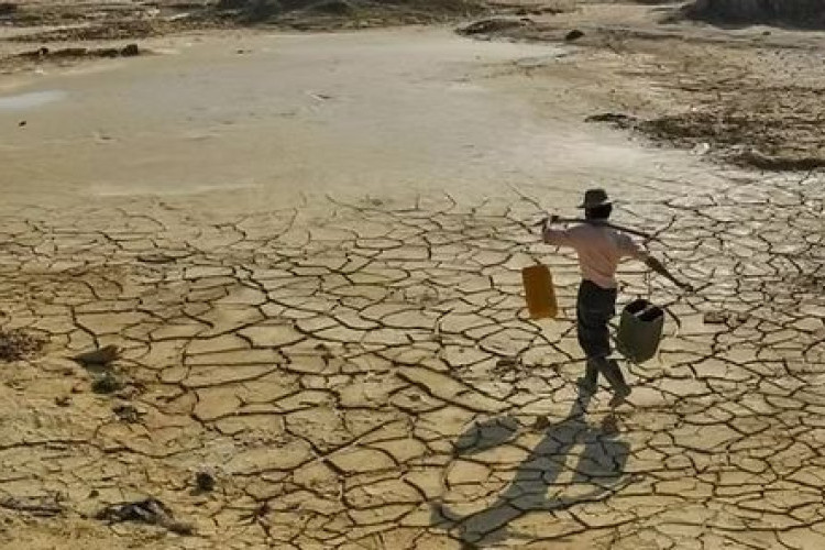 Waspada Dampak Fenomena Godzilla El Nino di Indonesia, Begini Penjelasan BMKG dan BRIN tentang Tanda-Tandanya