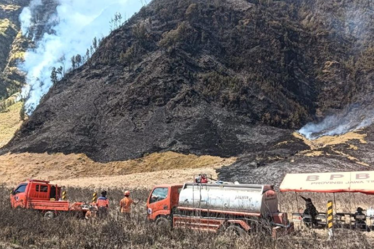 Kahutla Gunung Bromo Meluas Hingga 176 Hektar, Objek Wisata Kini Ditutup Total