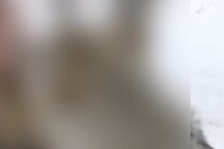 One Girl One Wolf filtrado video viral Enlace en redes sociales Descarga gratis, ¡no te quedes con la intriga!