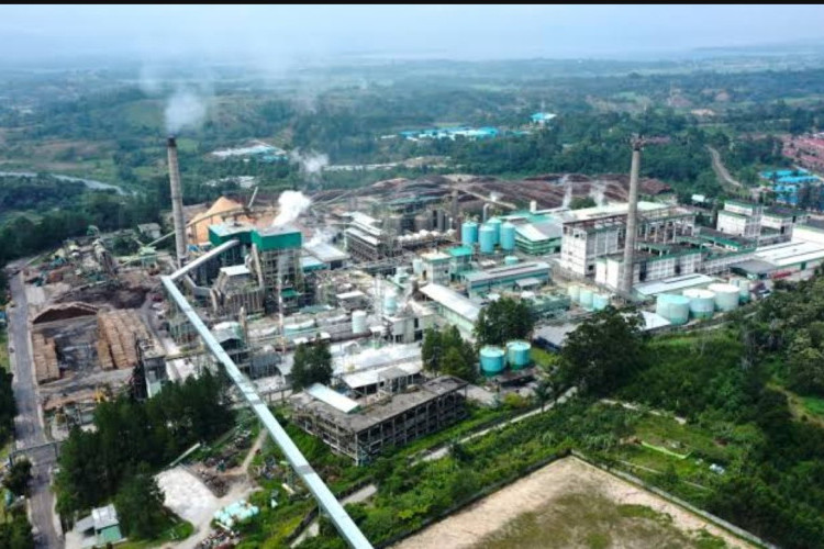 Update Kasus PT TPL Resmi jadi Tersangka Korporasi, Imbas Transfer Pricing yang Rugikan Negara Rp2 T