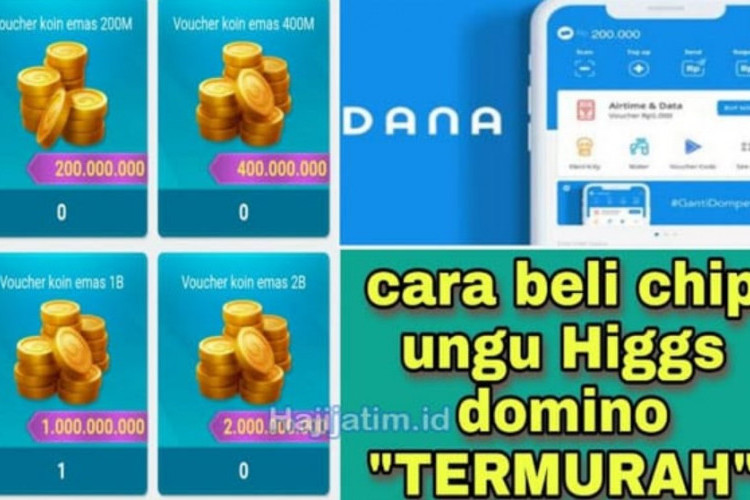 Top Up Beli Chip Higgs Domino di Agen Resmi Termurah 2024, Dijamin Aman Langsung Masuk!