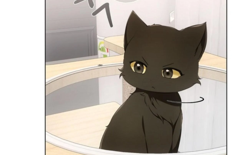 Spoilers BL Manhwa Terapia de Gatos Capítulo 12 PT BR, O novo modo do mestre