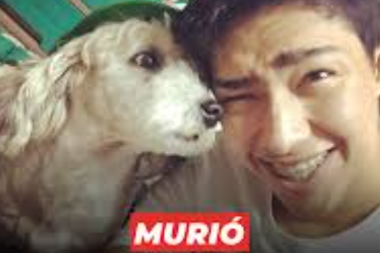 Murió Curly: Muere el Perro Favorito del YouTuber Fernanfloo y sus Fans lo Lloran