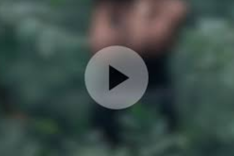 Vídeo Viral de Isadora Abraão Erome Sem Censura, Só Aqui! Acesso Gratuito Sem VPN