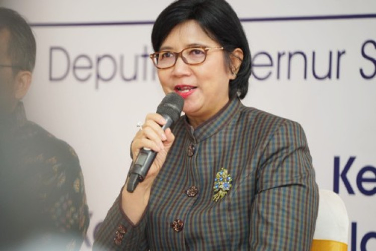 Lima Inisiatif Strategis Destry Damayanti dalam Fit and Proper Test di DPR RI Sebagai Perempuan Pertama yang Memimpin Bank Indonesia