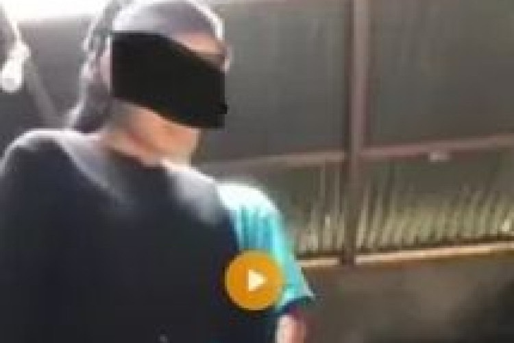 Link Video Rok Hijau Viral di TikTok dan X Beredar, Tersedia Banyak Part yang Bisa Langsung Diunduh!