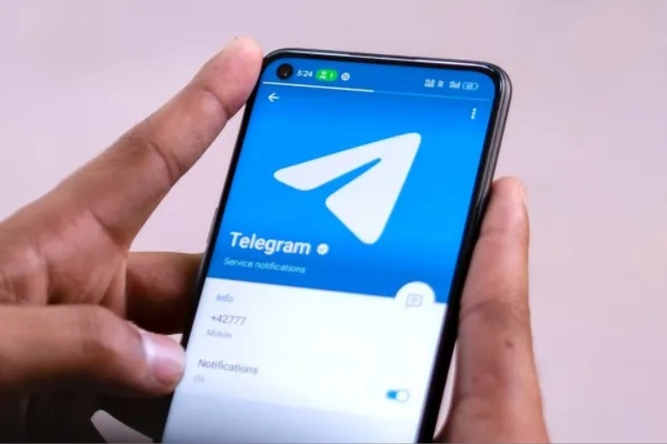 Lien Vidéo Fuite Ficha Telegram Rejoignez La Chaîne Dès Maintenant Pour Voir Avant D'être Banni
