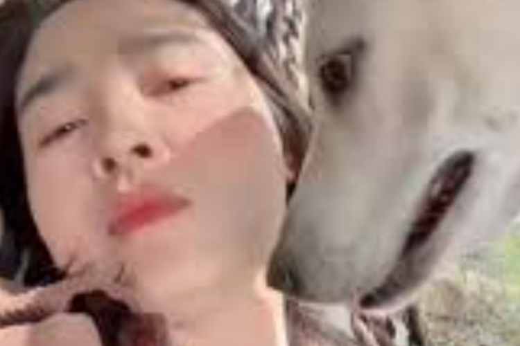FULL! Enlace de Vídeo Viral de Mujer y Perro HD 1080p, Se puede Descargar Directamente a Través de Telegram y Doodstream