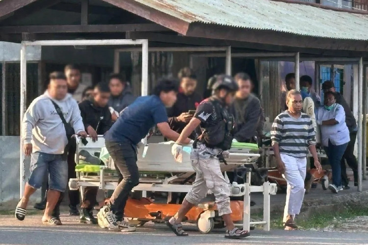 Kabar Duka! 3 Staf Badan Pangan Kabupaten Jayawijaya Ditembak KKB di Papua Pegunungan Saat Sedang Mendistribusikan Bantuan Ternak