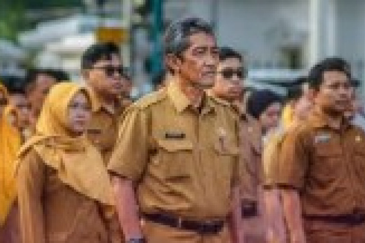 Harapan Baru Tenga Honorer: Skema Pengangkatan PPPK Paruh Waktu Menjadi Penuh Waktu