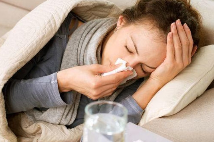 GEGER! Potongan Surat Dinkes Soal Flu Burung Beredar Warganet Panik Nggak Berani Makan Ayam, Ternyata Begini Faktanya!