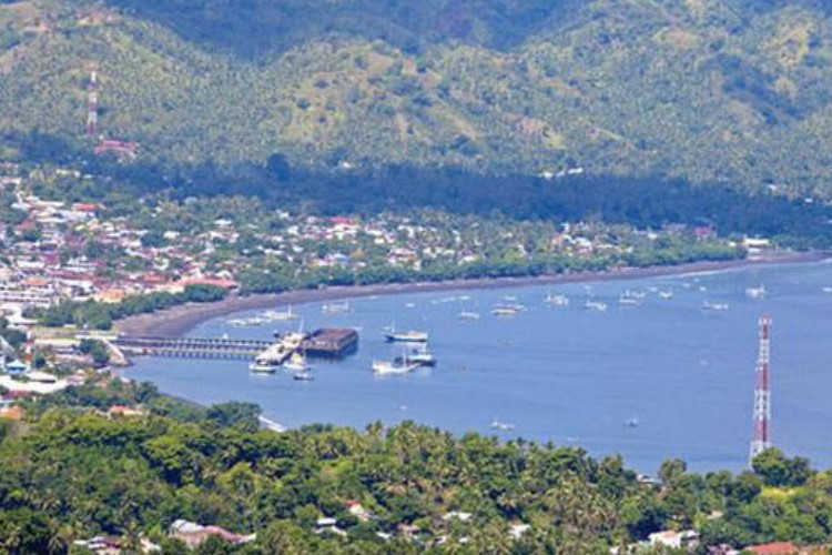 5 Fakta Provinsi Kepulauan Flores yang Mekar dari NTT, Mulai Dari Berjuluk Pulau Ular Hingga Punya Tradisi Berburu Paus