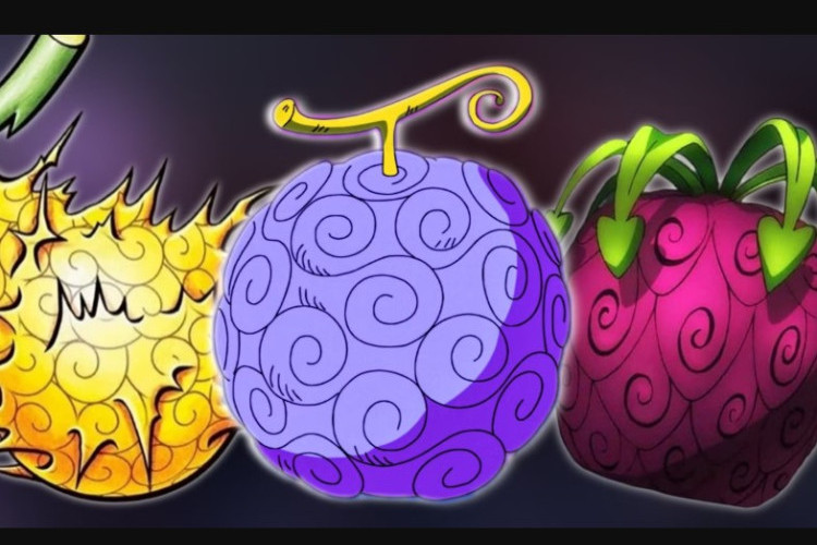Le Prochain Membre du Chapeau de Paille qui a le Potentiel de Manger des Fruits du Diable en un Seul Morceau, Qui est le Candidat le Plus Fort ?