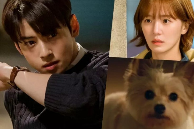 Eun Hwan Mengamcam Hae Na! Nonton A Good Day to Be a Dog (2023) Episode 9 Subtitle Indonesia