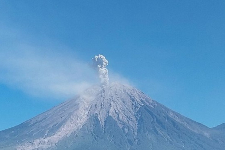 Gunung Semeru Kembali Erupsi: Kolom Abu Membubung Tinggi dan Status Siaga Level III Diperketat