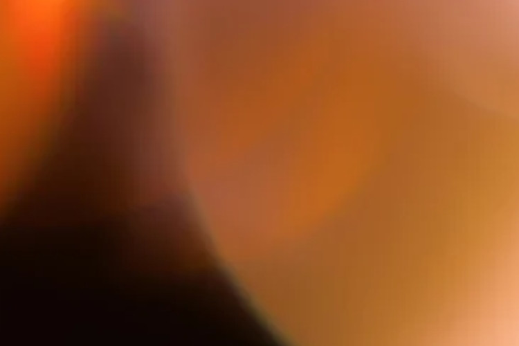 Video Bokeh Japanese Word Origin Full Tanpa Cut Bikin Penasaran Langsung Cekidot Versi HD di Sini