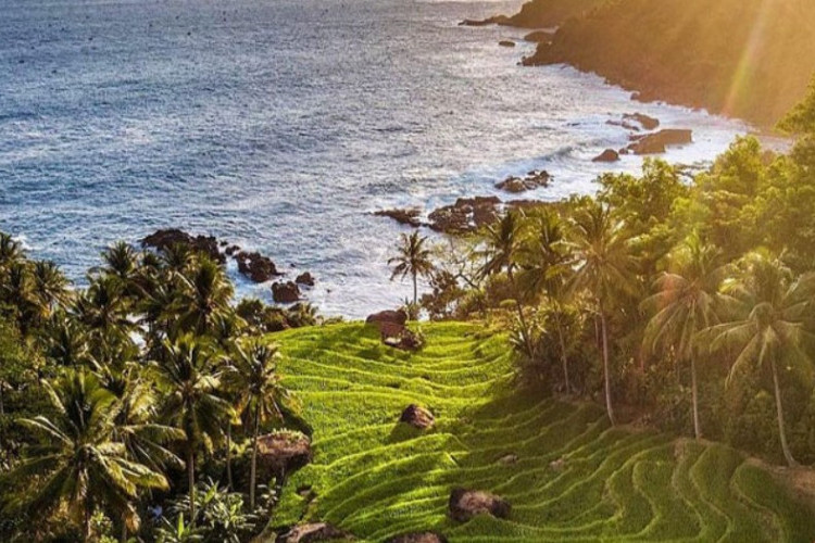 Asal Usul Kota Trenggalek, Daerah yang Terkenal dengan Produksi Gaplek! Surganya Pantai di Jawa Timur