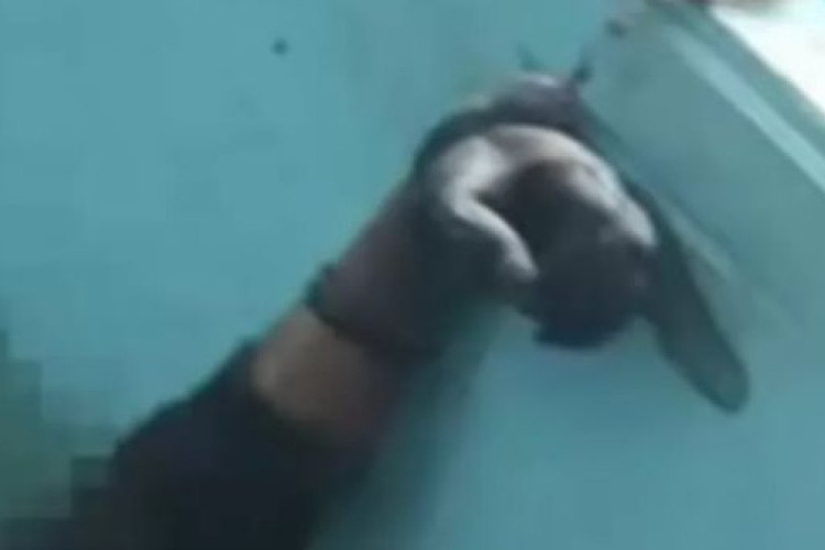Misteri Mayat Terborgol di Bangunan Calon SPPG Kendal, Korban Ternyata Pria Kaliwungu yang Hilang Sepekan