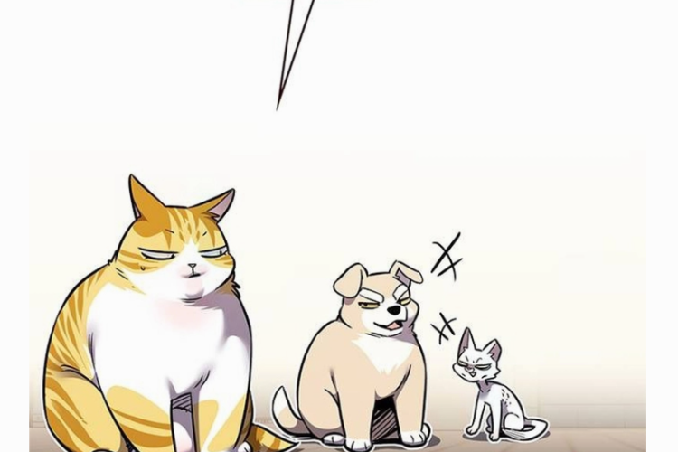 Spoilers & Lire le Manhwa Eleceed Chapitre 363 VF Scan, Jiwoo commence à se relever