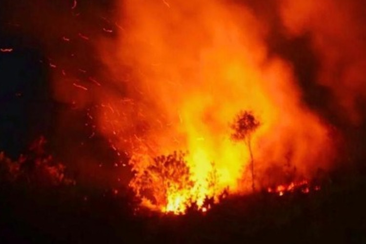 Ini Penyebab Kebun Tebu P3GI Terbakar Hanguskan Lahan Seluas 3,5 Hektare Siap Panen, Diduga Karena Ulah OTK
