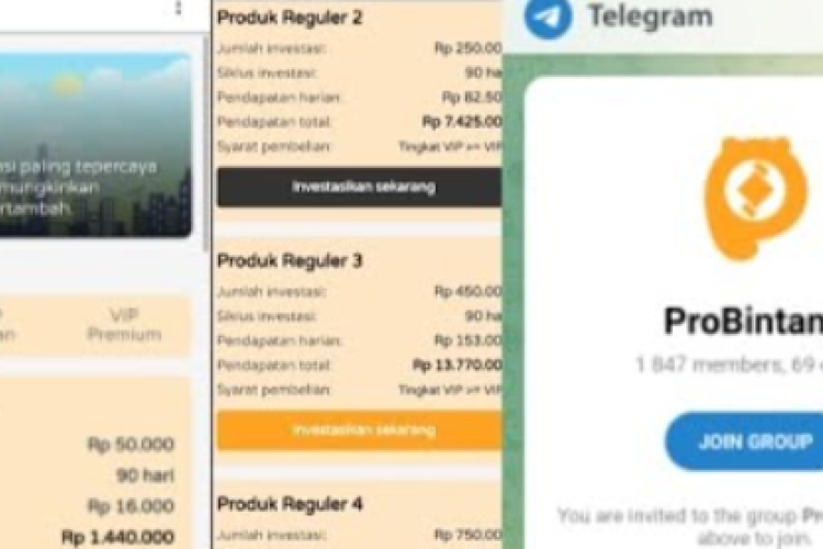 Apakah ProBintang.com Aman? Review Lengkap dan Fakta Terbaru 2025 yang Wajib Calon Pengguna Tahu
