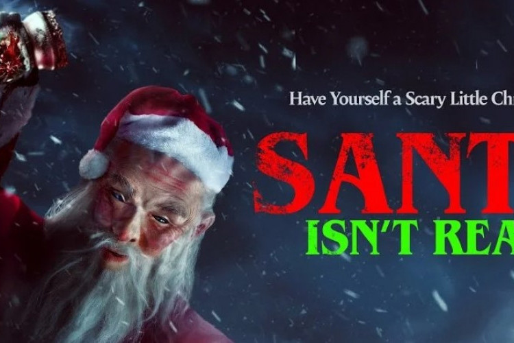 Sinopsis Film Santa Isn't Real (2023) Teror Santa Claus di Malam Natal Nikki dan Temannya!