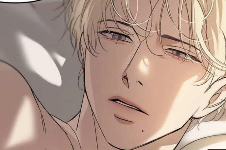 Lire BL Manhwa Backlight Chapitre Complet Scan VF L'amour Ne T'a Jamais Vraiment Été Enlevé