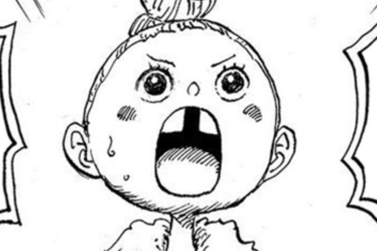 Sommers Problemática! Spoilers e Links de Leitura Manga One Piece Capítulo 1150 PT BR Scan