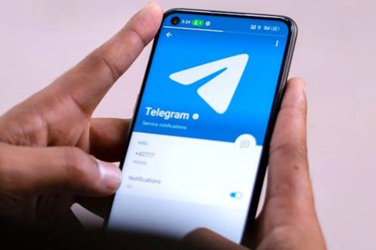 Link Grup Telegram Manja Malay 2025 GRATIS, Langsung Join Sekarang Biar Nggak Ketinggalan Updatenya