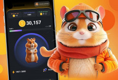 Hamster Combat Combo Harian 18 Juni 2024 Sekarang, Simak Harga Terbaru Sebelum Listing
