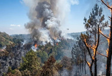 Kebakaran di Jateng Melonjak, 232 Kebakaran Hutan dan Lahan Naik Hingga 700 Persen! 