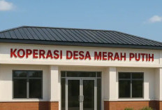 Geger! Joao Angelo De Sousa Mota Klarifikasi Gaji Pengelola Kopdes Merah Putih Ada Kesalahan Dalam Imput Data Manual di Excel