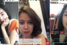 Daftar Host di Apk Hot51 dan Cara Mencari Akun Terbaru 2024, Banyak di Isi Pemandu Cantik!
