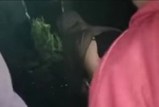 Video Kadis Koperasi Sumbar Mesum di Mobil Full Durasi Viral, Banyak Diburu Link di Doodstream!