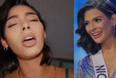 Lien Vidéo Miss Nicaragua, Le Directeur Du Concours Annonce Son Départ À La Retraite Après Des Accusations De Conspiration