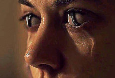 Sinopsis Film Viral (2016) Wabah Cacing Misterius Bikin California Lumpuh