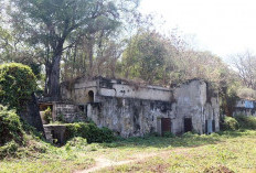 Pesona Wisata Benteng Kedung Cowek Peninggalan Hindia Belanda, Penyuka Vintage Wajib Berkunjung!