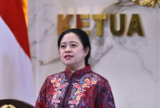 Puan Desak Pelaku Karhutla Ditindak Tegas, Soroti Dampak Kerugian yang Meluas