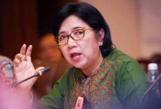 Destry Damayanti: Calon Gubernur Bank Indonesia Menuju Fit and Proper Test Pengganti Perry Warjiyo