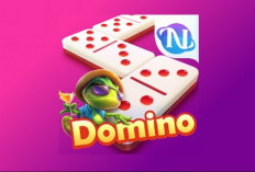 Download Higgs Domino V2.23 Mod Apk 2024 Dilengkapi X8 Speeder Hadir dengan Tema Hitam Keren!