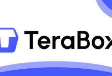 Terabox Error Tidak Bisa Dibuka: Penyebab Utama, Dampak Terhadap Pengguna, dan Solusi Terbaru yang Paling Ampuh